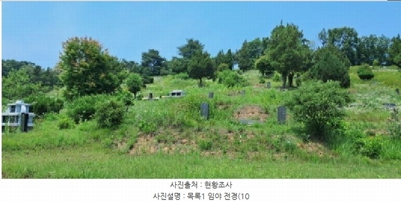 2025타경63280 경기도 파주시 적성면 자장리 산100 임야 경매 이미지