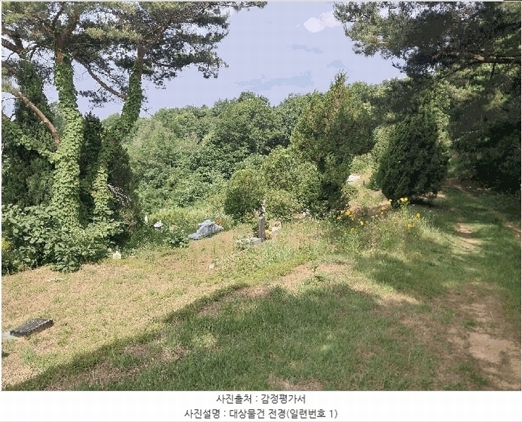 2025타경63280 경기도 파주시 적성면 자장리 산100 임야 경매 이미지