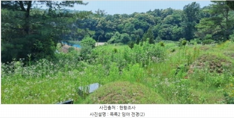 2025타경63280 경기도 파주시 적성면 자장리 산100 임야 경매 이미지