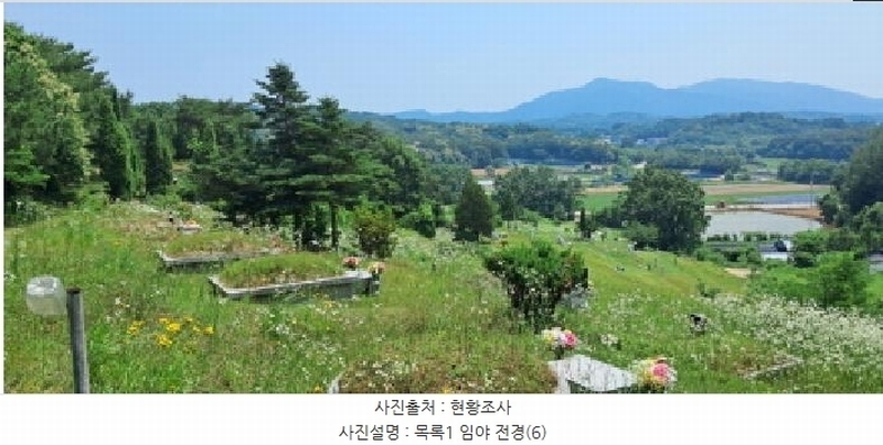 2025타경63280 경기도 파주시 적성면 자장리 산100 임야 경매 이미지