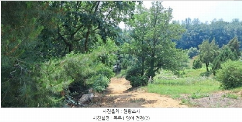 2025타경63280 경기도 파주시 적성면 자장리 산100 임야 경매 이미지