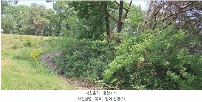 2025타경63280 경기도 파주시 적성면 자장리 산100 임야 경매 이미지