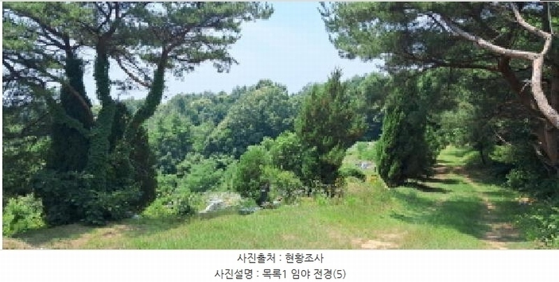 2025타경63280 경기도 파주시 적성면 자장리 산100 임야 경매 이미지