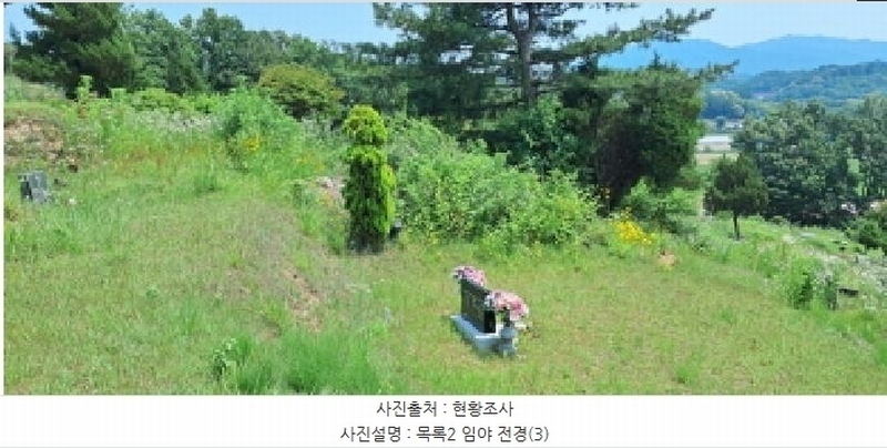 2025타경63280 경기도 파주시 적성면 자장리 산100 임야 경매 이미지