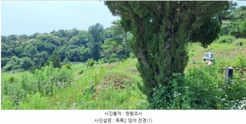 2025타경63280 경기도 파주시 적성면 자장리 산100 임야 경매 이미지