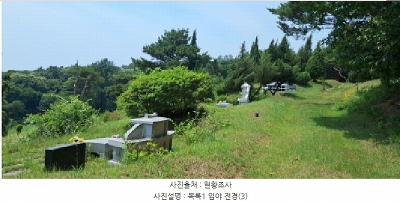 2025타경63280 경기도 파주시 적성면 자장리 산100 임야 경매 이미지