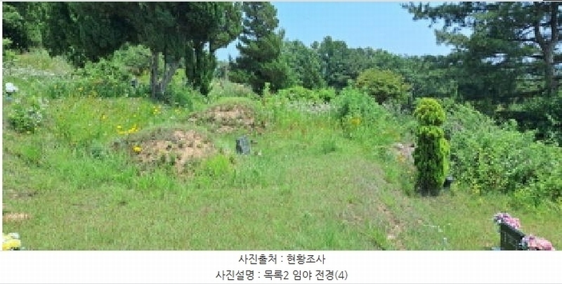 2025타경63280 경기도 파주시 적성면 자장리 산100 임야 경매 이미지