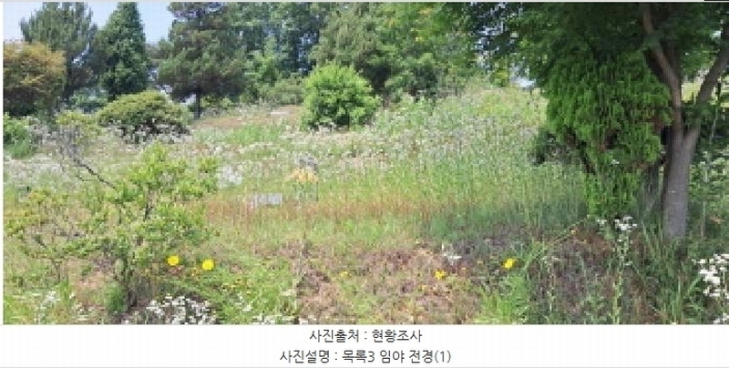 2025타경63280 경기도 파주시 적성면 자장리 산100 임야 경매 이미지