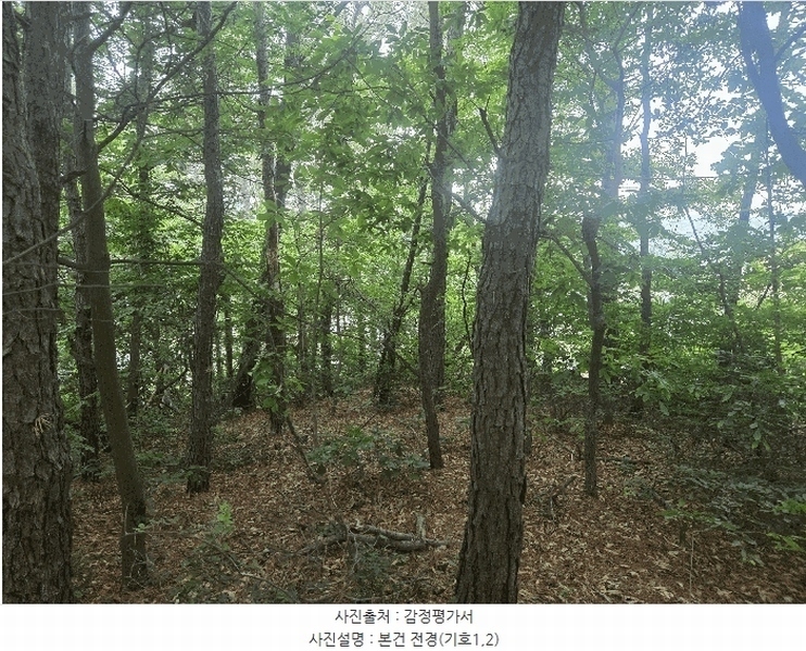 2025타경63411 경기도 파주시 파주읍 봉암리 390-1 임야 경매 이미지
