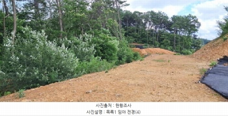 2025타경63411 경기도 파주시 파주읍 봉암리 390-1 임야 경매 이미지