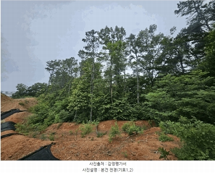 2025타경63411 경기도 파주시 파주읍 봉암리 390-1 임야 경매 이미지