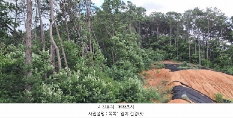 2025타경63411 경기도 파주시 파주읍 봉암리 390-1 임야 경매 이미지