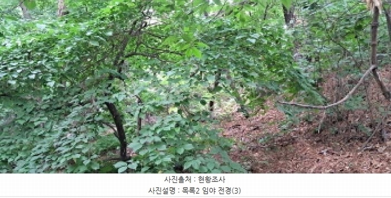 2025타경63411 경기도 파주시 파주읍 봉암리 390-1 임야 경매 이미지