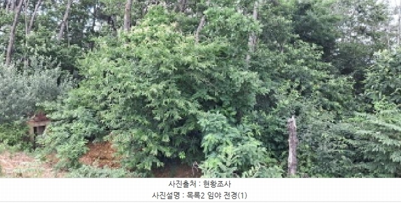 2025타경63411 경기도 파주시 파주읍 봉암리 390-1 임야 경매 이미지