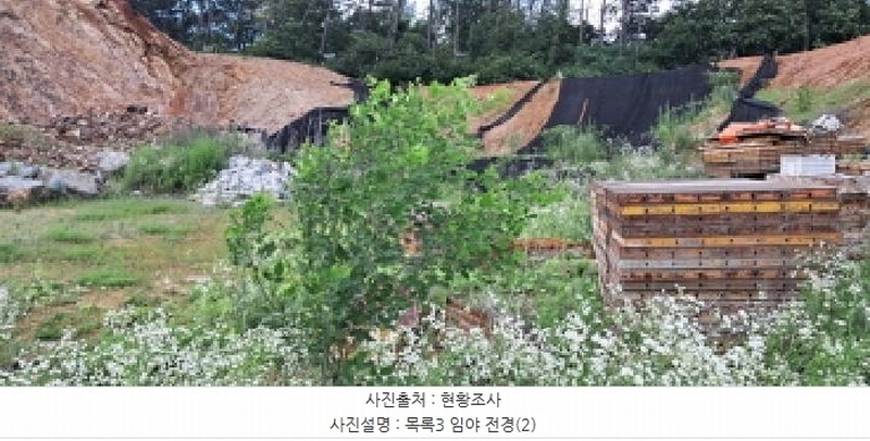 2025타경63411 경기도 파주시 파주읍 봉암리 390-1 임야 경매 이미지