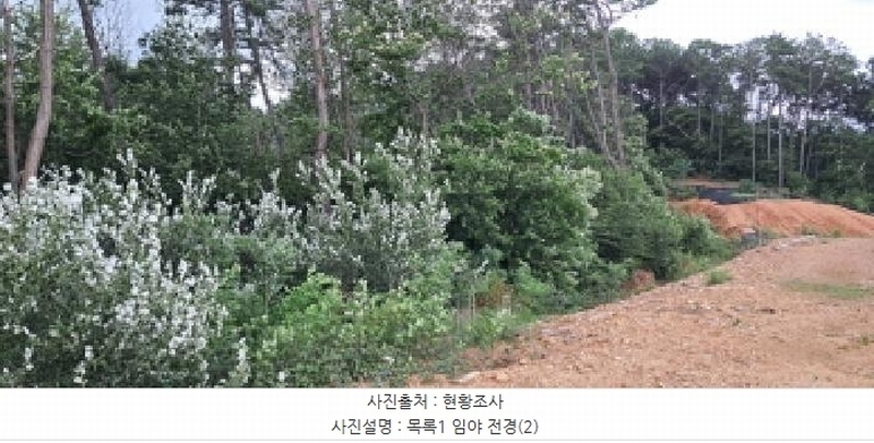 2025타경63411 경기도 파주시 파주읍 봉암리 390-1 임야 경매 이미지