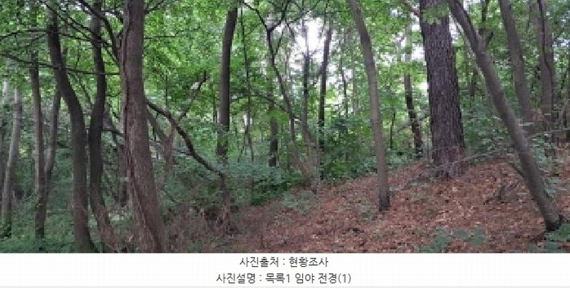 2025타경63411 경기도 파주시 파주읍 봉암리 390-1 임야 경매 이미지