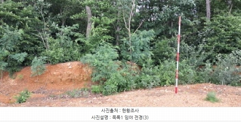 2025타경63411 경기도 파주시 파주읍 봉암리 390-1 임야 경매 이미지