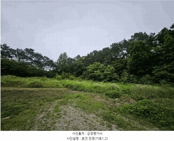 2025타경63411 경기도 파주시 파주읍 봉암리 390-1 임야 경매 이미지