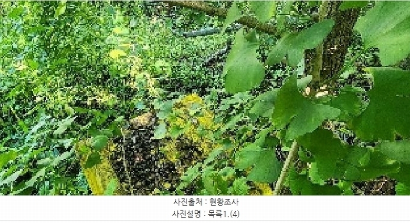 2025타경64035 경기도 파주시 문산읍 당동리 136-17 임야 경매 이미지