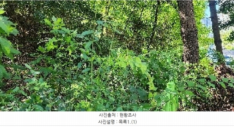 2025타경64035 경기도 파주시 문산읍 당동리 136-17 임야 경매 이미지