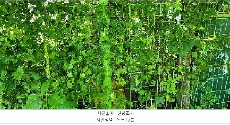 2025타경64035 경기도 파주시 문산읍 당동리 136-17 임야 경매 이미지
