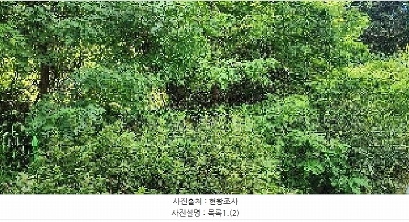 2025타경64035 경기도 파주시 문산읍 당동리 136-17 임야 경매 이미지