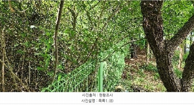 2025타경64035 경기도 파주시 문산읍 당동리 136-17 임야 경매 이미지
