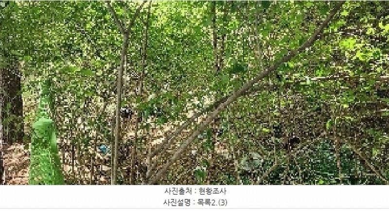 2025타경64035 경기도 파주시 문산읍 당동리 136-17 임야 경매 이미지