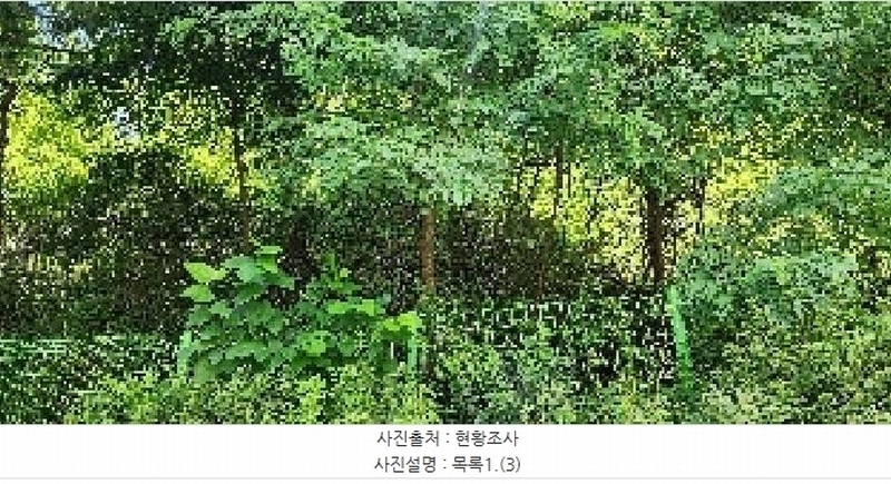 2025타경64035 경기도 파주시 문산읍 당동리 136-17 임야 경매 이미지