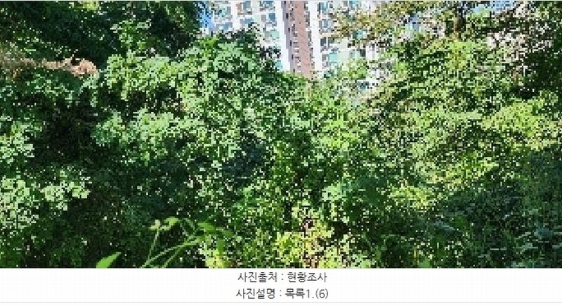 2025타경64035 경기도 파주시 문산읍 당동리 136-17 임야 경매 이미지