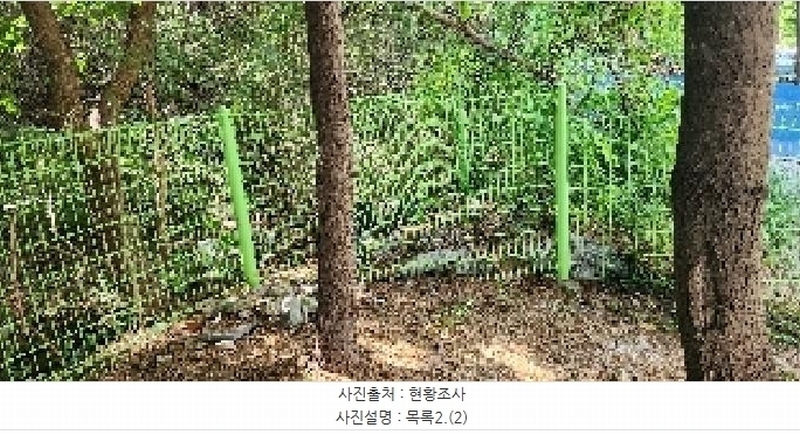 2025타경64035 경기도 파주시 문산읍 당동리 136-17 임야 경매 이미지