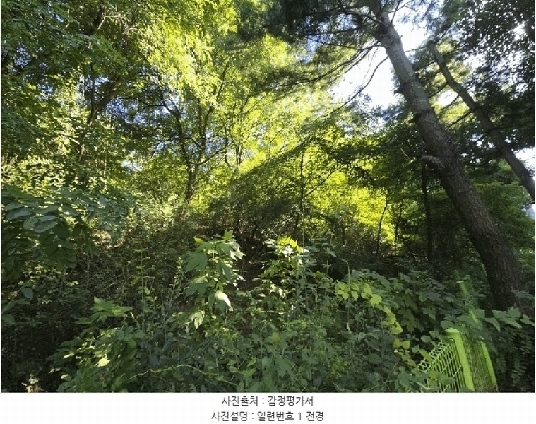 2025타경64035 경기도 파주시 문산읍 당동리 136-17 임야 경매 이미지