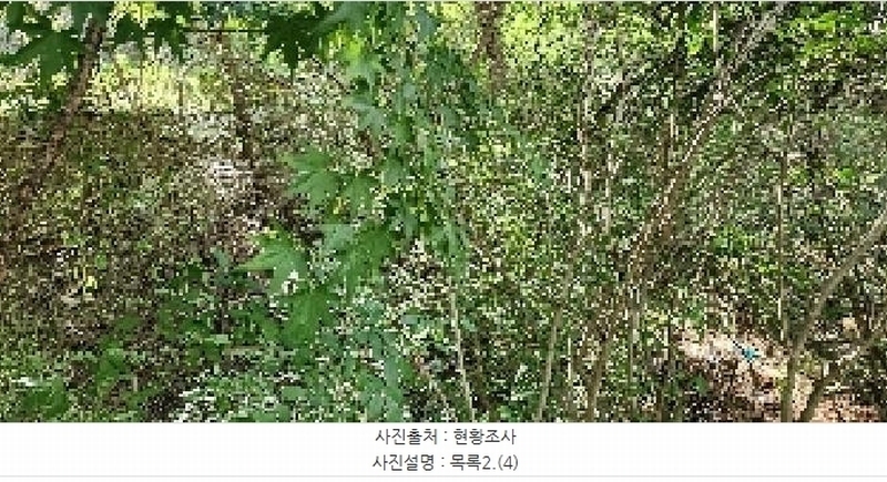 2025타경64035 경기도 파주시 문산읍 당동리 136-17 임야 경매 이미지