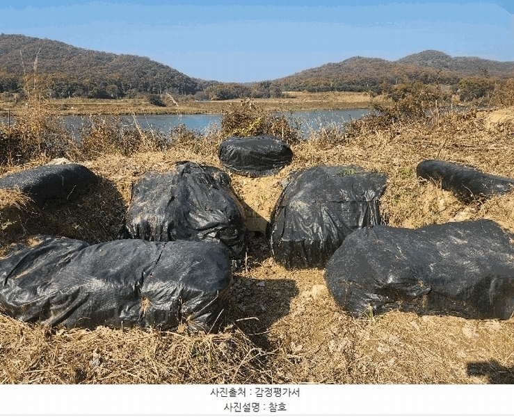 2025타경64551 경기도 파주시 파평면 두포리 440-2 농지 경매 이미지