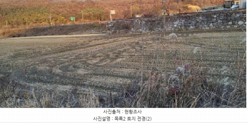 2025타경64551 경기도 파주시 파평면 두포리 440-2 농지 경매 이미지