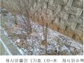 2022타경4799 경기도 파주시 광탄면 창만리 492-3 공장 경매 이미지