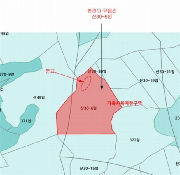 2024타경9521 경기도 파주시 적성면 구읍리 산30-6 임야 경매 이미지