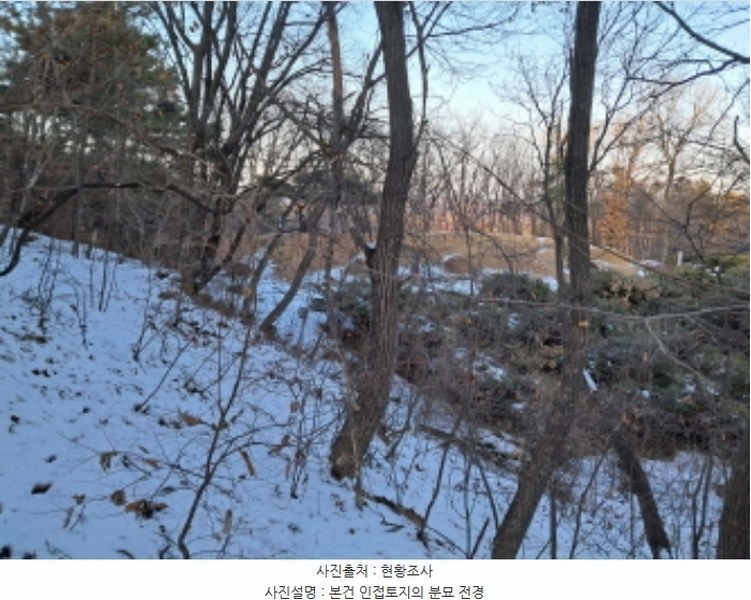 2024타경9521 경기도 파주시 적성면 구읍리 산30-6 임야 경매 이미지
