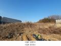 2024타경85617 경기도 파주시 파주읍 파주리 209 농지 경매 이미지