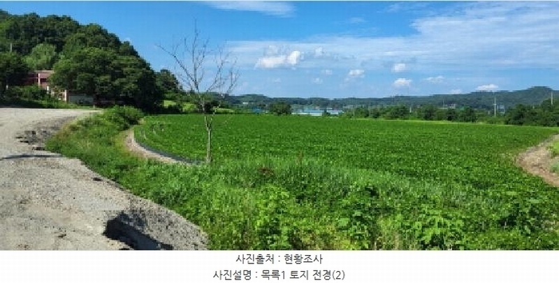 2025타경3698 경기도 파주시 적성면 장현리 308-13 농지 경매 이미지