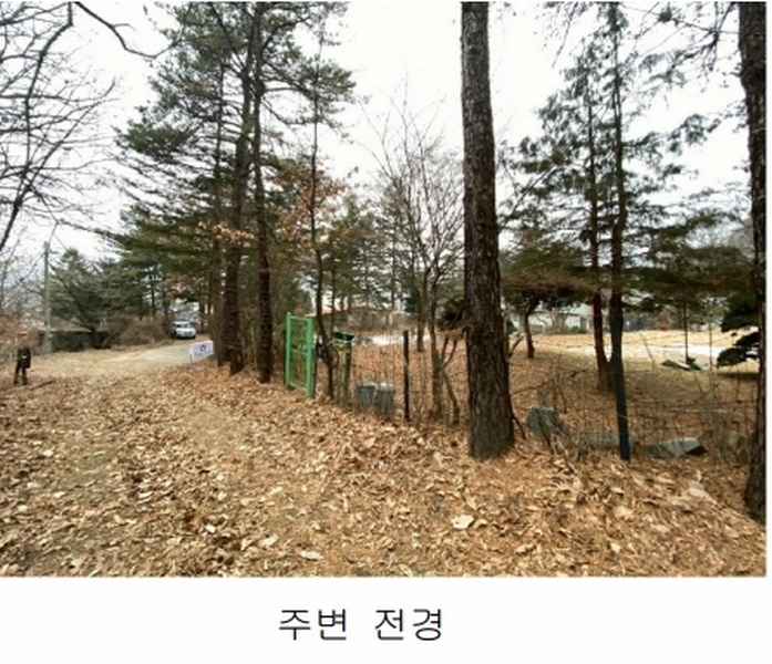 2025타경60202 경기도 고양시 덕양구 벽제동 251-1 주택 경매 이미지