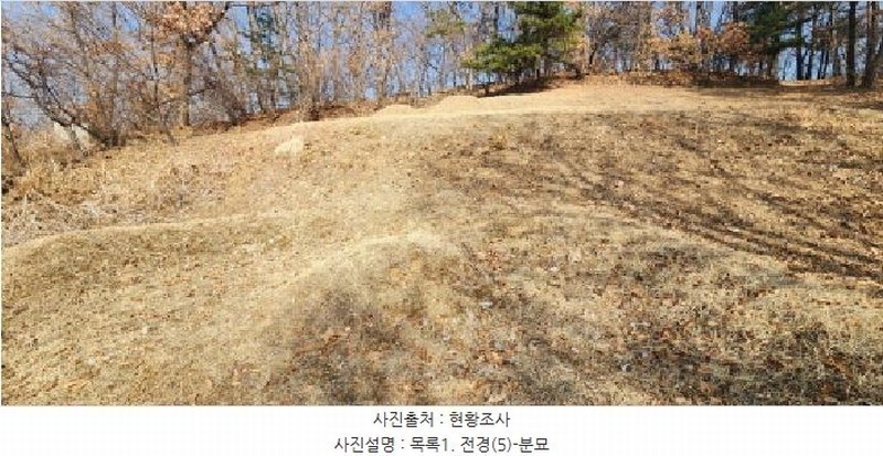 2025타경62418 경기도 파주시 문산읍 당동리 산83 임야 경매 이미지
