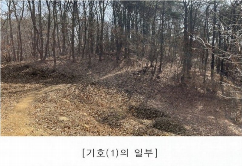 2025타경62418 경기도 파주시 문산읍 당동리 산83 임야 경매 이미지