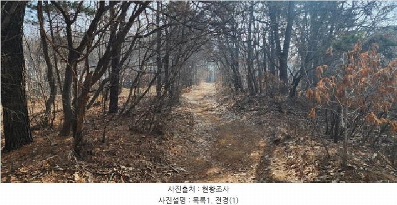2025타경62418 경기도 파주시 문산읍 당동리 산83 임야 경매 이미지