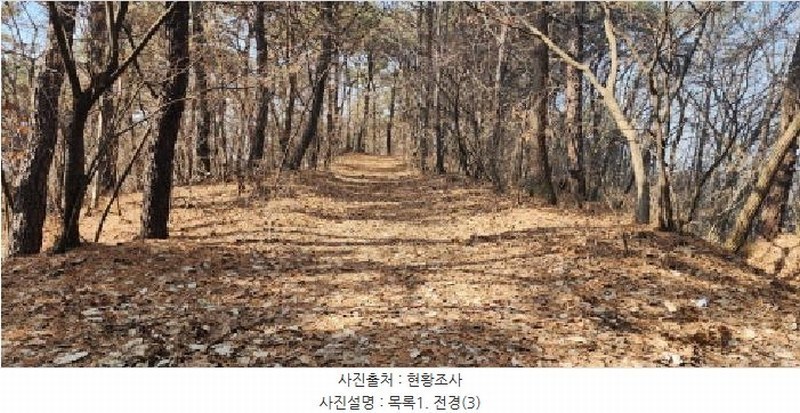2025타경62418 경기도 파주시 문산읍 당동리 산83 임야 경매 이미지