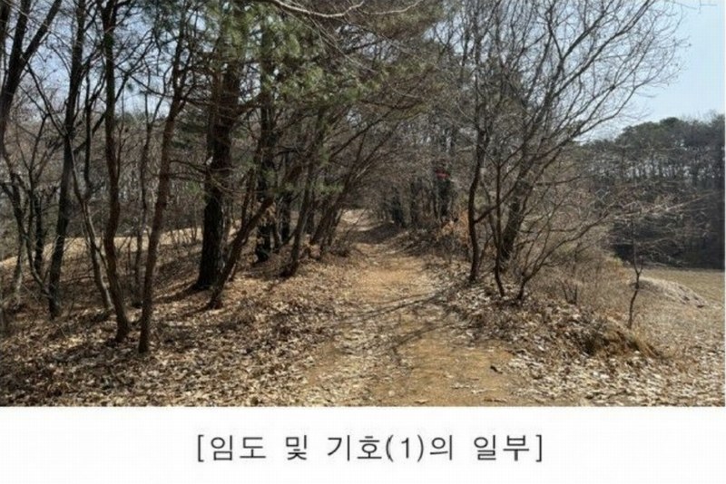2025타경62418 경기도 파주시 문산읍 당동리 산83 임야 경매 이미지
