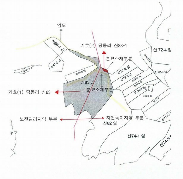 2025타경62418 경기도 파주시 문산읍 당동리 산83 임야 경매 이미지