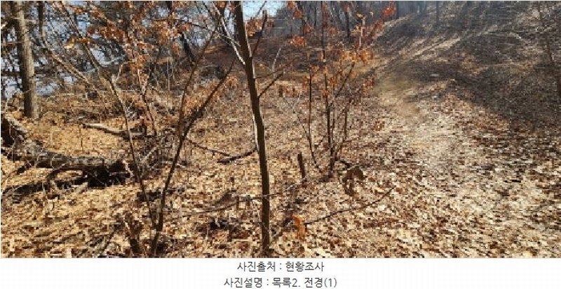 2025타경62418 경기도 파주시 문산읍 당동리 산83 임야 경매 이미지
