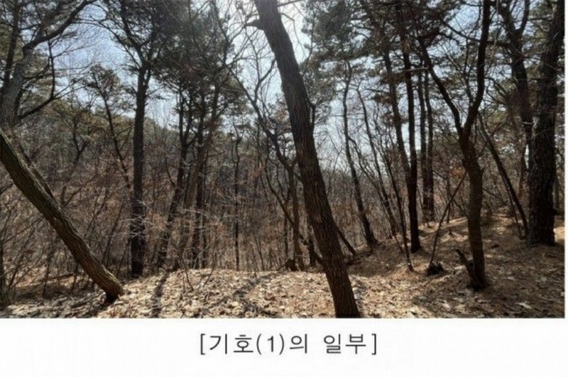 2025타경62418 경기도 파주시 문산읍 당동리 산83 임야 경매 이미지